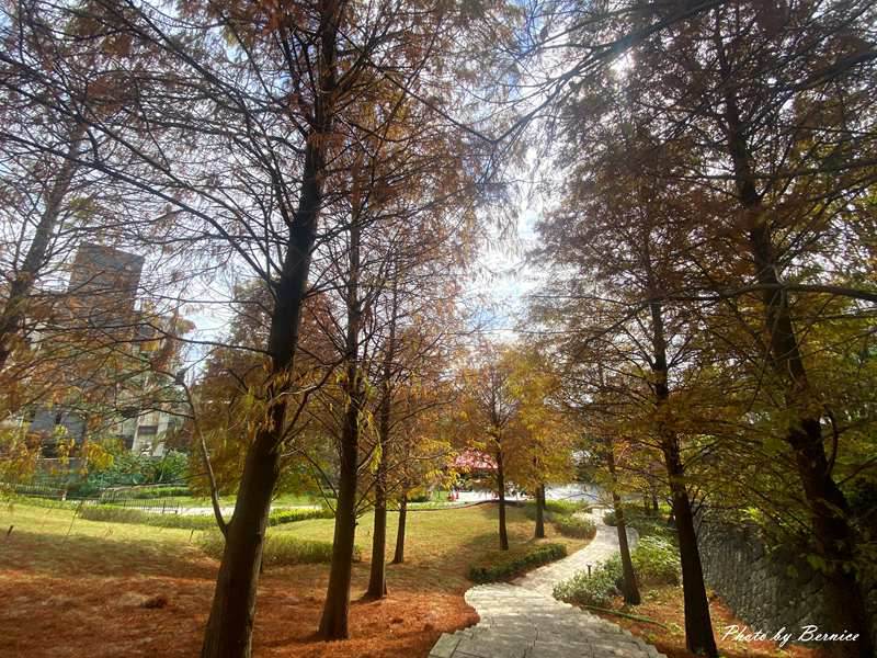 感受茶道的美學生活 @Bernice的隨手筆記