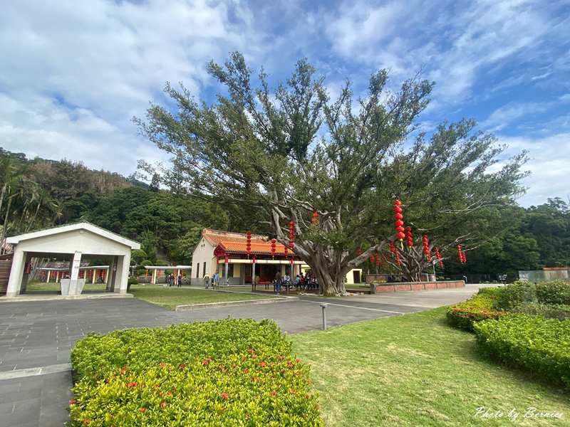 北投行天宮落羽松~近期掘起落羽松林 漫步林中感受秋冬的浪漫 @Bernice的隨手筆記