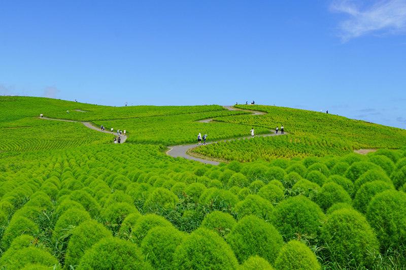 探索北關東-茨城~四季名勝與在地美食魅力並進 東京近郊30分鐘即達 @Bernice的隨手筆記