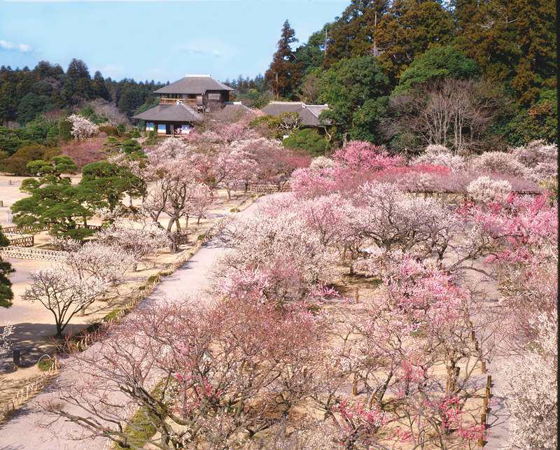 探索北關東-茨城~四季名勝與在地美食魅力並進 東京近郊30分鐘即達 @Bernice的隨手筆記 探索北關東-茨城~四季名勝與在地美食魅力並進 東京近郊30分鐘即達 @Bernice的隨手筆記