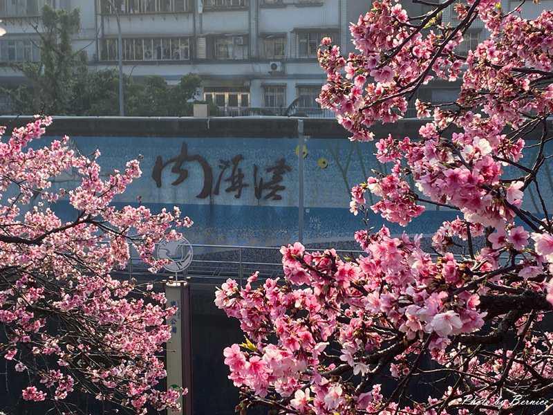 幸福圓鬆餅屋~平價甜蜜幸福的好滋味 @Bernice的隨手筆記