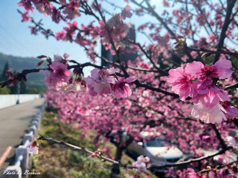 2015台灣美食展~讚岐烏龍麵‧日本香川Q彈麵兒 @Bernice的隨手筆記