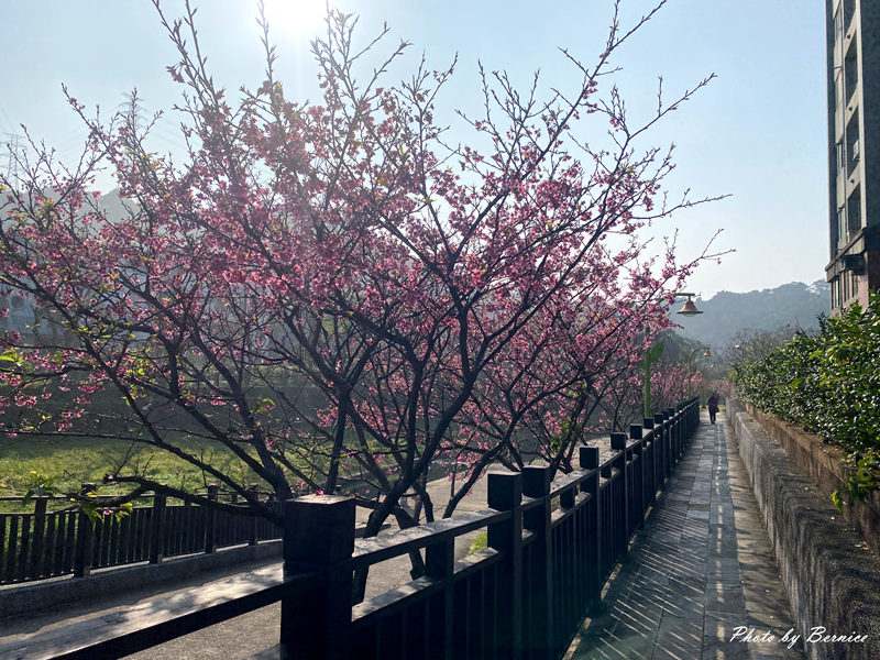 2014逢甲夜市公益年曆‧買年曆還可做愛心哦 @Bernice的隨手筆記