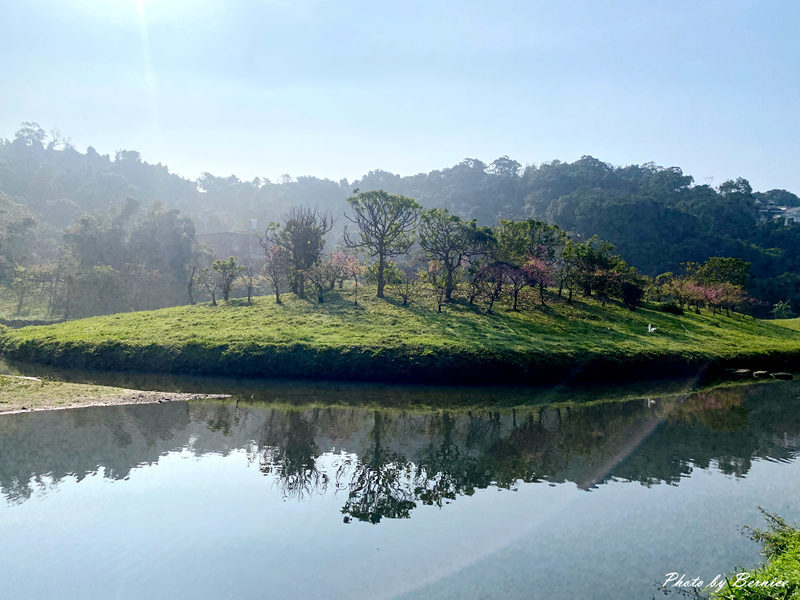 五分埤步道~少了人潮的喧囂多了份悠閒 輕鬆愜意賞櫻趣 @Bernice的隨手筆記