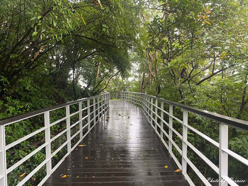 來自都教授的祝福 @Bernice的隨手筆記