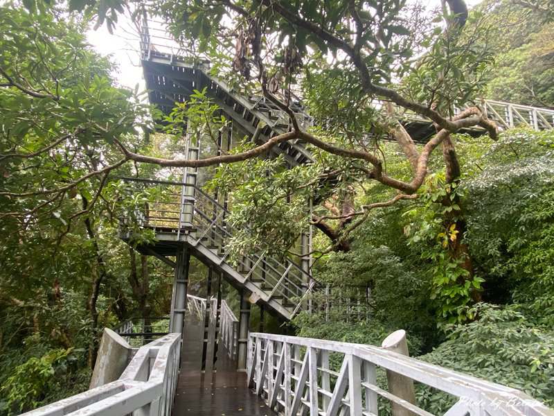 林稍步道~輕鬆無障礙賞景完成第一段 未完第二段待續 @Bernice的隨手筆記