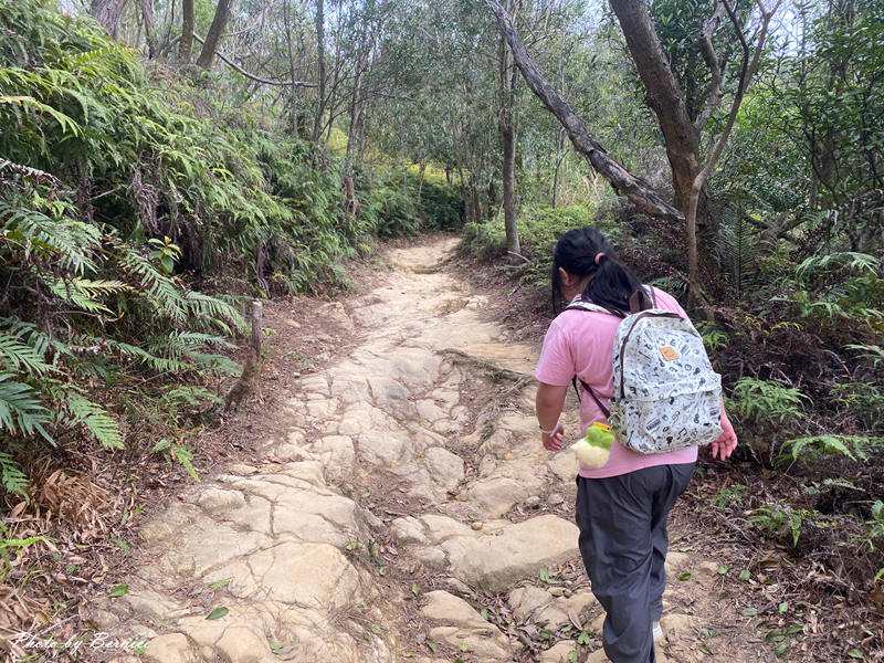 軍艦岩親山步道~遇見乘風破浪的陸上行舟 @Bernice的隨手筆記