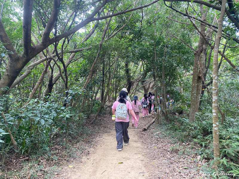 軍艦岩親山步道~遇見乘風破浪的陸上行舟 @Bernice的隨手筆記