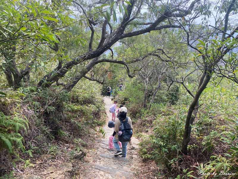 軍艦岩親山步道~遇見乘風破浪的陸上行舟 @Bernice的隨手筆記