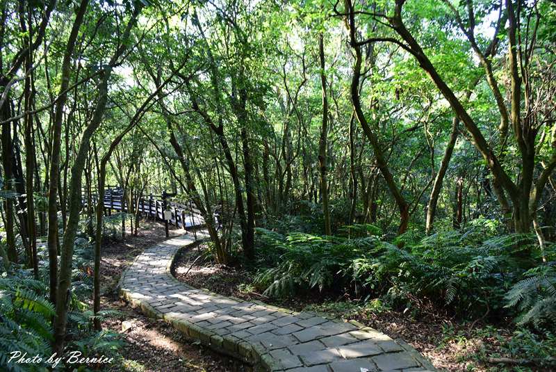 台北小旅行一日散策~親山.美食. 台北好好玩 @Bernice的隨手筆記 台北小旅行一日散策~親山.美食. 台北好好玩 @Bernice的隨手筆記