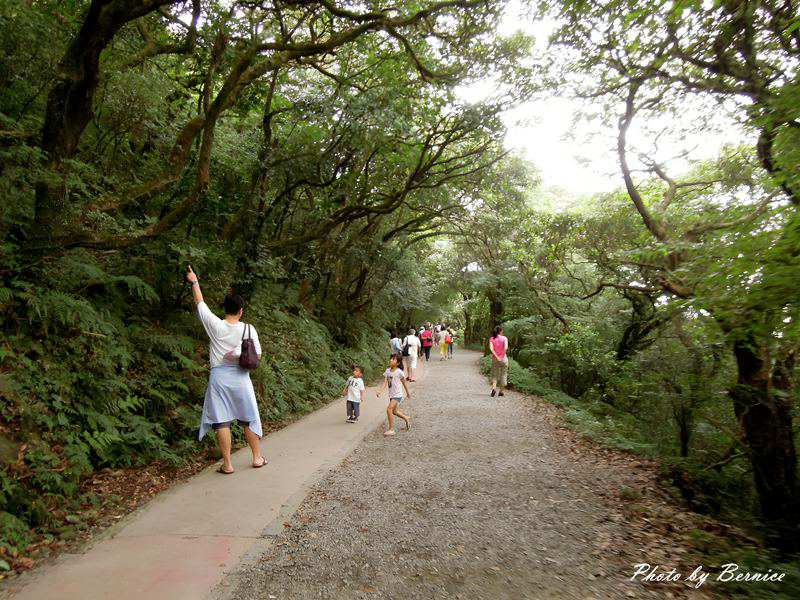 台北小旅行一日散策~親山.美食. 台北好好玩 @Bernice的隨手筆記