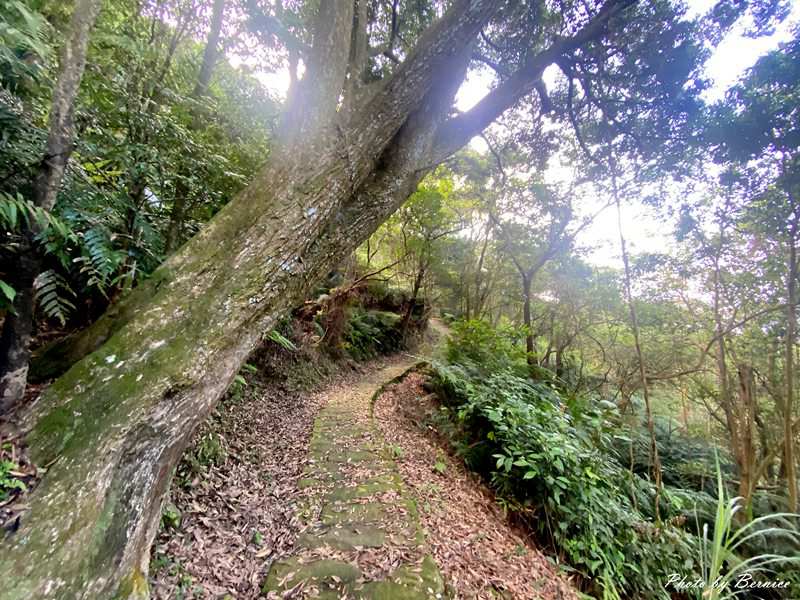 龍船岩步道~挑戰90度懸崖與45度峭壁的視覺極限 @Bernice的隨手筆記