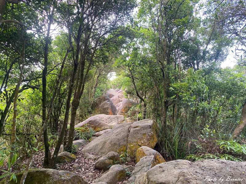 龍船岩步道~挑戰90度懸崖與45度峭壁的視覺極限 @Bernice的隨手筆記
