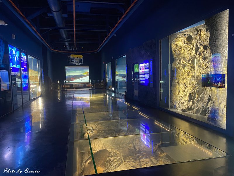 基隆海洋科學博物館~把海洋收藏進一天的旅程 探索臺灣的海洋故事 @Bernice的隨手筆記