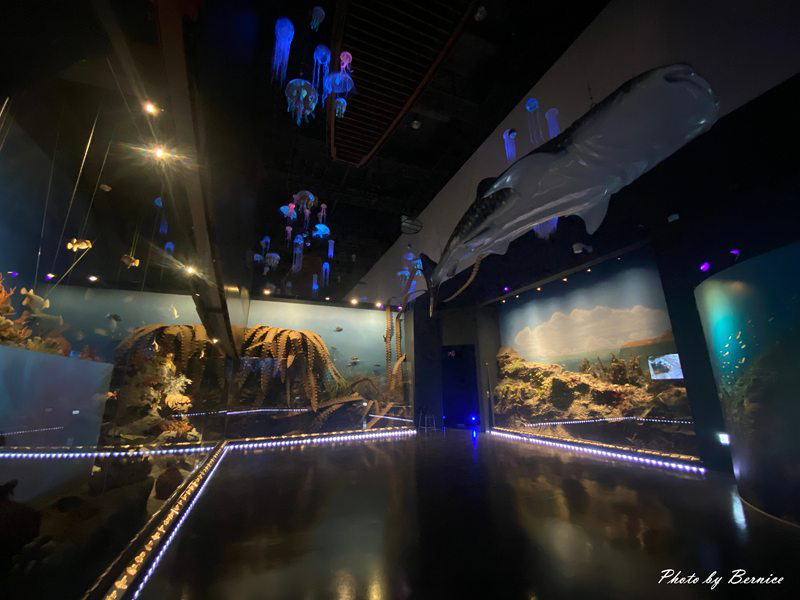 基隆海洋科學博物館~把海洋收藏進一天的旅程 探索臺灣的海洋故事 @Bernice的隨手筆記 基隆海洋科學博物館~把海洋收藏進一天的旅程 探索臺灣的海洋故事 @Bernice的隨手筆記