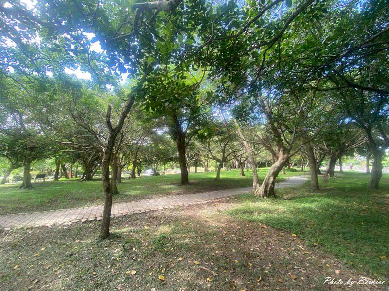 貴子坑水土保持園區~ 進北走投山林秘境遇見白色岩壁與靜謐森林散策時光 @Bernice的隨手筆記