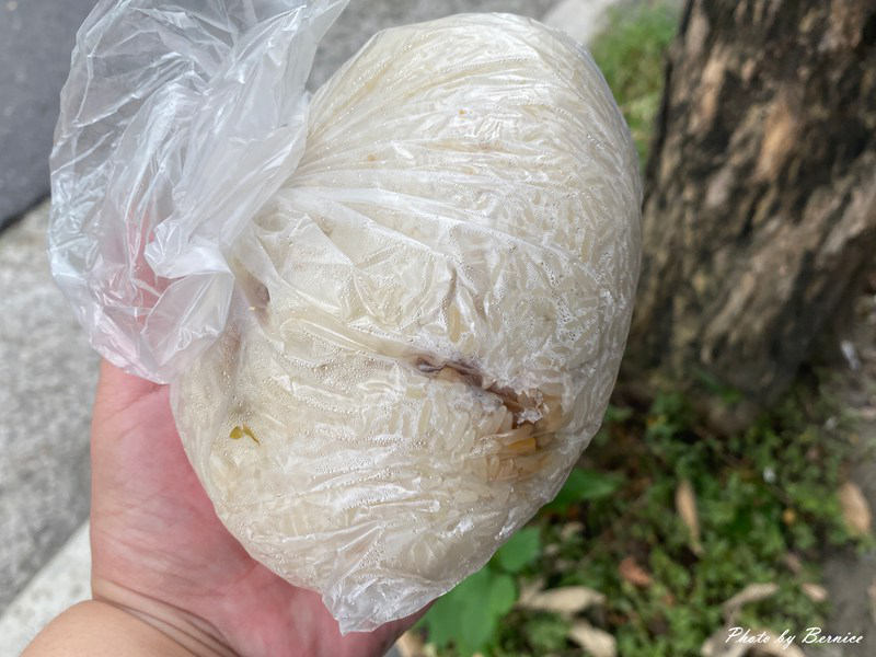 邢記香溢飯糰~一顆飯糰的異國風景 內湖早餐也能吃出新滋味 @Bernice的隨手筆記
