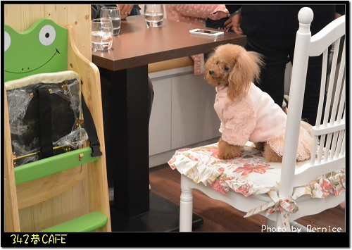 342巷CAFE~可以帶著心愛的狗狗一起來用餐 @Bernice的隨手筆記