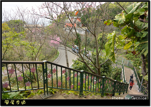 風尾步道~櫻花相伴輕鬆徜徉於山林間 @Bernice的隨手筆記