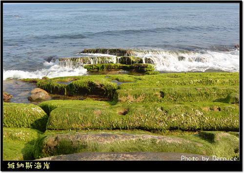 維納斯海岸~季節限定綠色海岸 @Bernice的隨手筆記