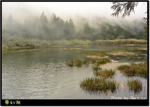 陽明山夢幻湖~山上多變的氣候讓夢幻湖更夢幻 @Bernice的隨手筆記