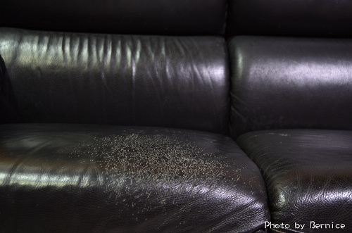 Housepal好室配沙發套~賦予舊沙發新生活 @Bernice的隨手筆記