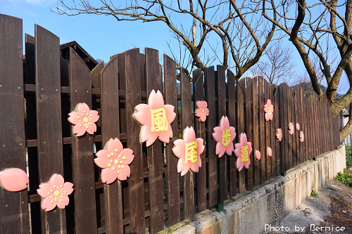 風尾櫻花兒~步道延路櫻樹種類多到三月都有花可看哦 @Bernice的隨手筆記