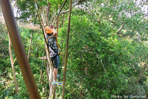 森林滑翔深險~需要點體力及勇氣 @Bernice的隨手筆記