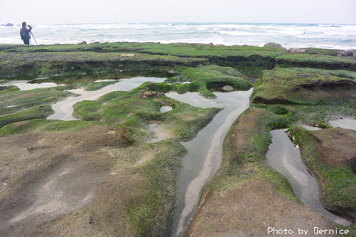 老梅綠石槽~季節限定迷人的綠色海岸 @Bernice的隨手筆記