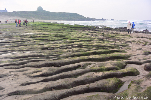 老梅綠石槽~季節限定迷人的綠色海岸 @Bernice的隨手筆記