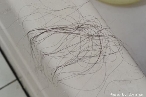 CONTIN康定酵素植萃洗髮乳~養護頭皮健康就從這開始 @Bernice的隨手筆記