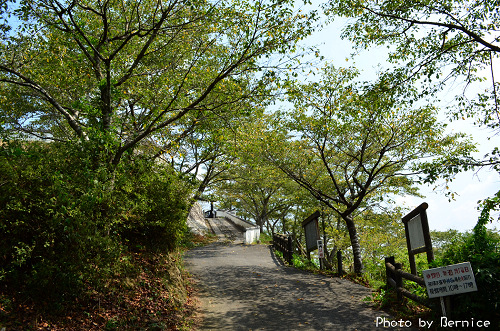 吉井城山公園~花見名所四季皆美 @Bernice的隨手筆記