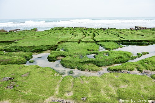 老梅綠石槽~絶美獨特綠色海岸季節限定美景 @Bernice的隨手筆記