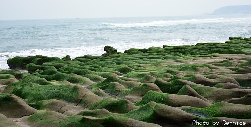 老梅綠石槽~絶美獨特綠色海岸季節限定美景 @Bernice的隨手筆記