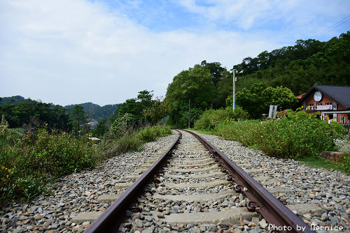 舊山線慢城遊~日式懷舊鐵道行．走訪探索三義 @Bernice的隨手筆記