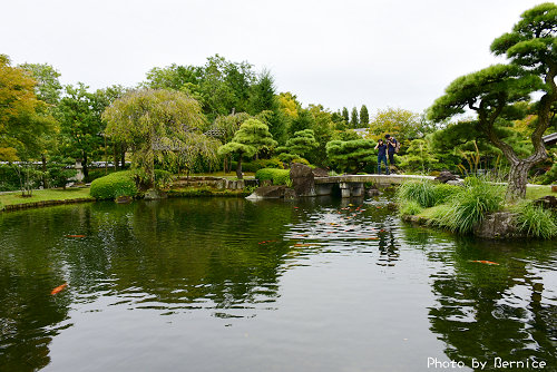 好古園~姬路城旁的美麗日式庭園 @Bernice的隨手筆記
