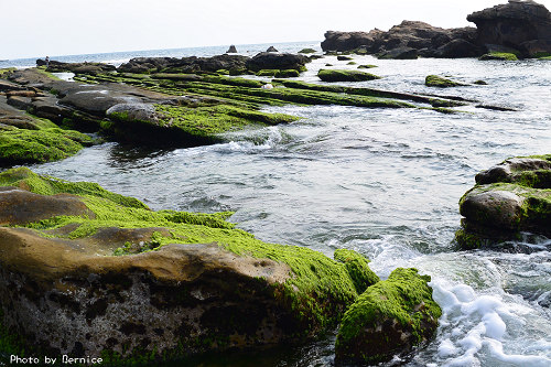 維納斯海岸~美麗的地質景觀與海藻勾任出迷人的綠色海岸 @Bernice的隨手筆記