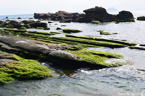 維納斯海岸~美麗的地質景觀與海藻勾任出迷人的綠色海岸 @Bernice的隨手筆記