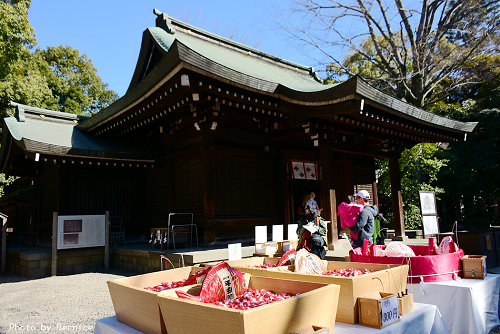冰川神社~擁有日本最大木製鳥居著名的千年姻緣神社 @Bernice的隨手筆記