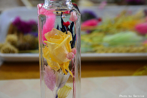 館山家庭公園-館山ファミリーパーク~賞花．採花．DIY．美食一次到位 @Bernice的隨手筆記