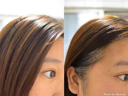 Sastty利尻昆布染髮劑~白髮專用染髮劑日本累積銷量第一 @Bernice的隨手筆記