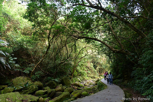 圓覺寺步道~親水涼爽輕鬆暢遊山林 @Bernice的隨手筆記