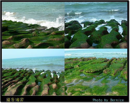 綠色海岸～老梅綠石槽 @Bernice的隨手筆記