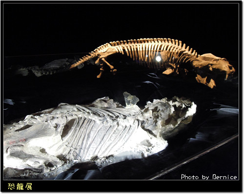 【體驗】地球最古老的恐龍展 @Bernice的隨手筆記