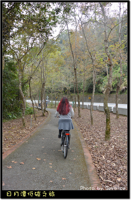 日月潭低碳之旅~台灣好行套票真方便 @Bernice的隨手筆記